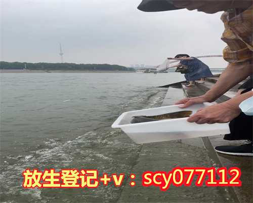 常州初一十五放生,常州大的甲鱼为什么要放生,常州北京小清河放生地点