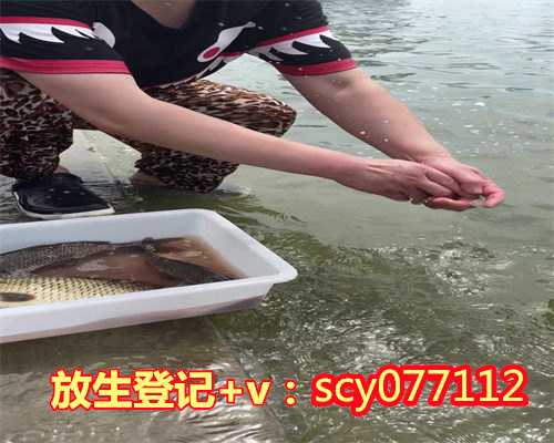 上海公园放生泥鳅,上海哪里可以放生鳖的,上海何地可以放生牛蛙