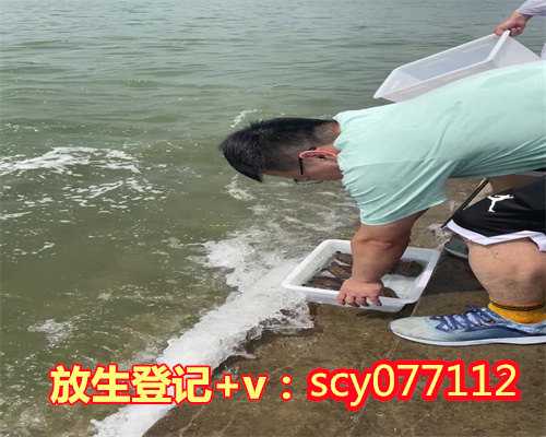 武汉允许放生的水域是哪里管，驰援武汉上海龙华古寺捐赠4232020元