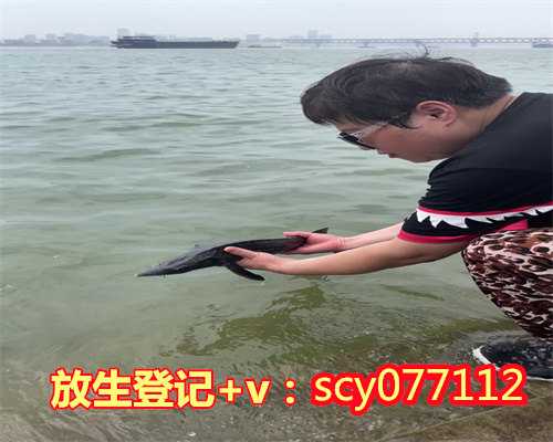 惠州中华放生网，惠州市区哪里可以放生蚬子，惠州哪里适合放生鱼的地方
