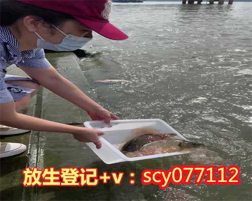 滁州放生行为，滁州哪里适合放生动物，滁州适合放生什么鱼