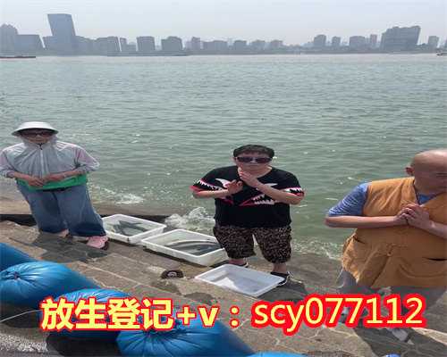 上海公园放生甲鱼，上海2023年寺院放生法会讲究，上海草龟去哪里放生