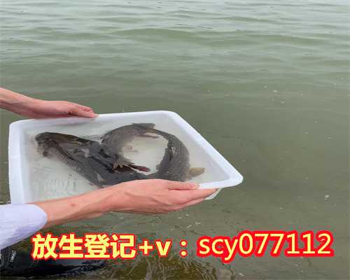 江西放生田螺在哪里，江西樟树市放生特大型野生胭脂鱼在赣江发现尚属首次