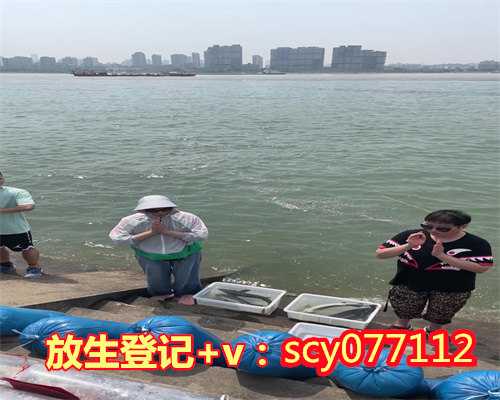 适合放生的鱼上海，捡到一只大乌龟需要放生吗【上海放生鱼的地点】
