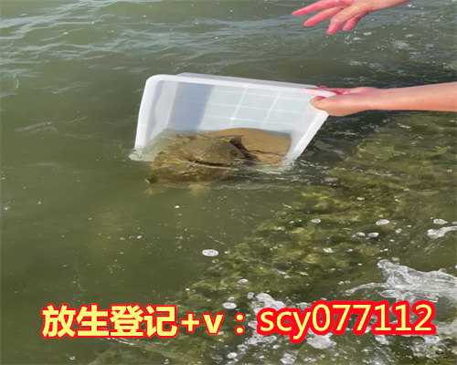 广州放生园放生红鲤鱼，广州华严寺
