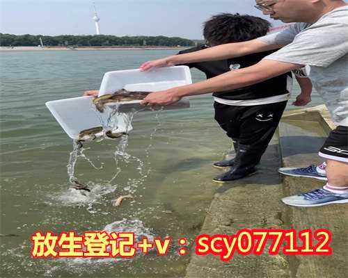 广东哪里放生小鱼最好，广东惠州举办第8届大型放生节改善东江水质环境