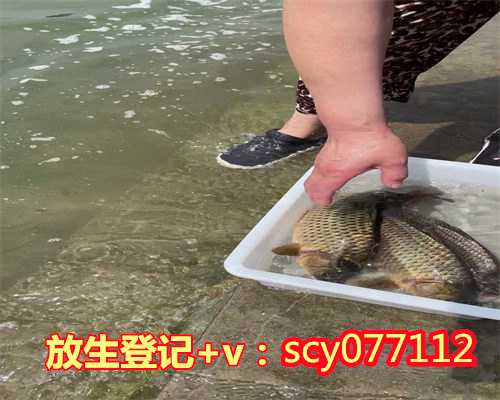 广东哪里可以放生蛇，广东惠州举办第8届大型放生节改善东江水质环境