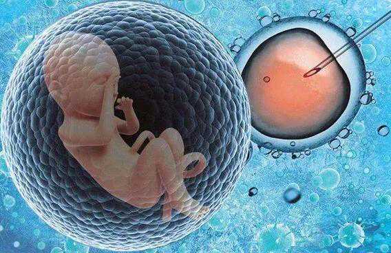 临沂试管供卵,南京供卵试管医院