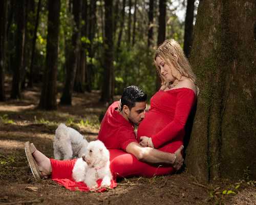 [国外供卵试管婴儿]美国供卵试管医院费用
