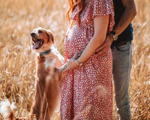 包成功代怀网_60万包生男孩,南京怀孕生子选性别费用25万能达成愿望吗？附20