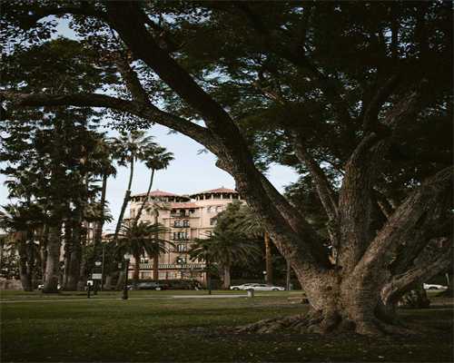 无锡供卵试管助孕机构能治疗子宫内膜异位症吗？